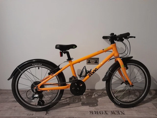 Frog 2024 52 orange