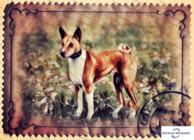 Basenji Kongo Terrier--413