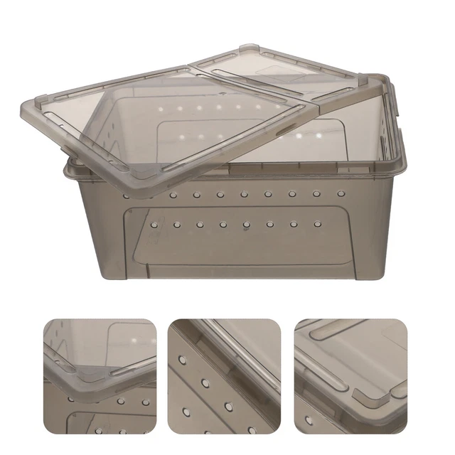 Scatola di alimentazione rettili terrario serbatoio rettili scatola di allevamento per animali domestici grigio scuro plastica