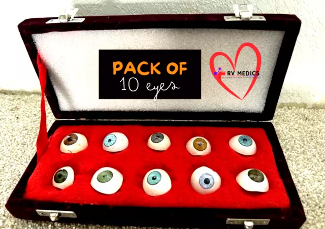 Ocular Prosthesis PACK OF 10 EYES Multi Shade Artificial Prosthetic With Case