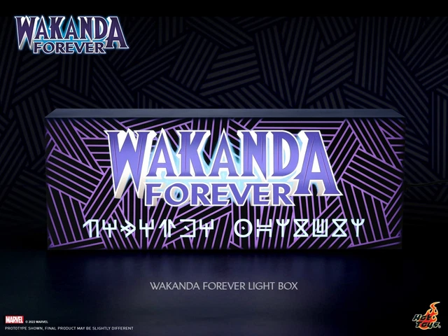 Ready! Hot Toys Wakanda Forever Light Box