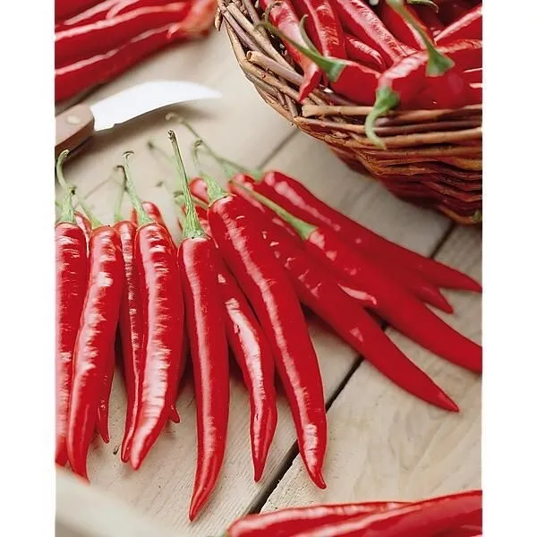 20 Graines de piment de Cayenne, Capsicum Annuum, Bio