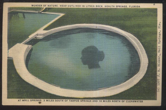Postcard HEALTH SPRINGS Florida/FL  Lithia Rock Outlined Head Aerial view 1930's