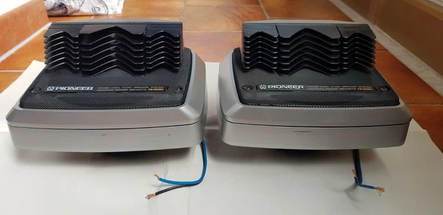 COPPIA RARISSIMA DI Altoparlanti Pioneer TS-2080(kex Vintage kp