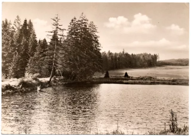 seltene DDR AK Sayda / Erzgeb. - Schwemmteich - postal. echt m. BM