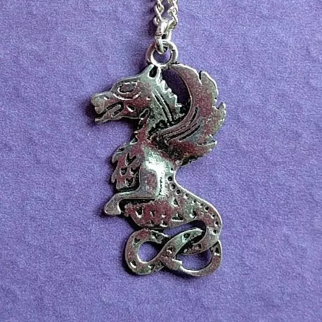 BELTANE Dragon Power Birth Charm Necklace Silver Plated Celtic 24 Apr - 16 May