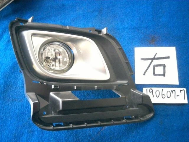 MAZDA MPV 2006 DBA-LY3P fendinebbia destro L16951680 [usato] [PA25862190]