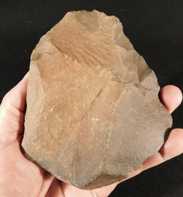 BIG! One Million Year Old! Early Stone Age ACHEULEAN HandAxe ASSA Morocco 687gr