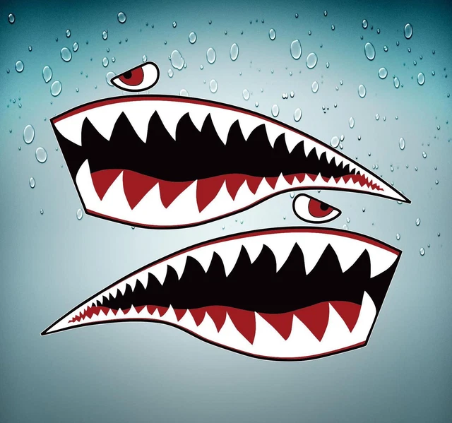 STICKER DECAL CAR airplane aircraft airport SHARK plane fighter black ...