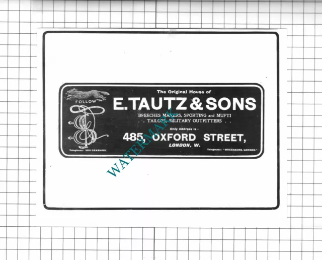 E Tautz & Sons London Tailors Advert - 1903 Clipping / Print