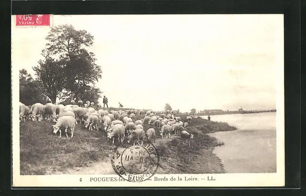 CPA Pougues-les-Eaux, Bords de la Loire 1935