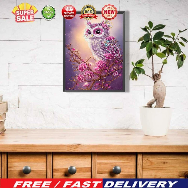5D hágalo usted mismo taladro parcialmente moldeado especialmente juego de pintura de diamantes búho decoración del hogar (UP335)