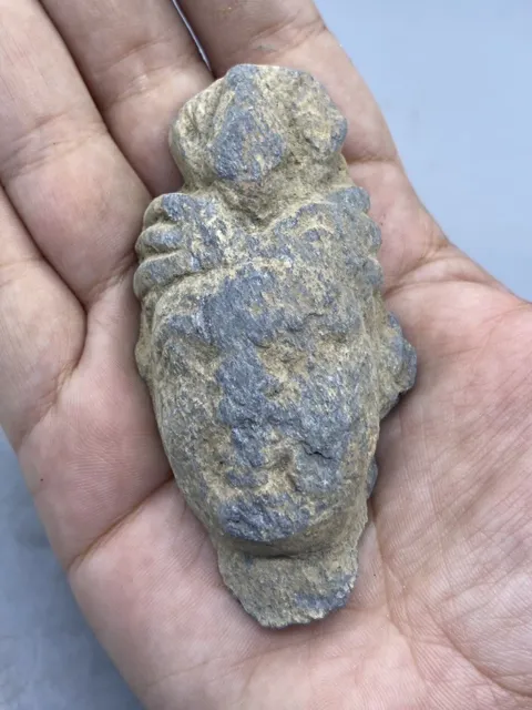 ANCIENT GANDHARA SCHIST STONE FRAGMENT HEAD OF A BUDDHA Sativa CIRCA 200BC 200A