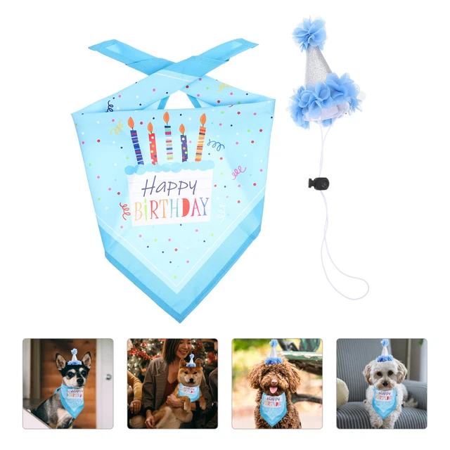 Chat Chapeau Chien D'anniversaire Chapeau Décoratif Chien Chapeau