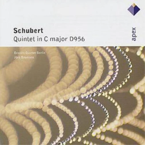 FRANZ SCHUBERT QUINTET in C major D956 (CD) Album EUR 27,50 - PicClick FR
