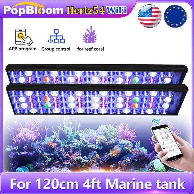 Réservoir à Poissons à Pince pour Aquarium LED Réservoir à Poissons Réservoir à Poissons à Pince pour Aquarium LED Réservoir à Poissons