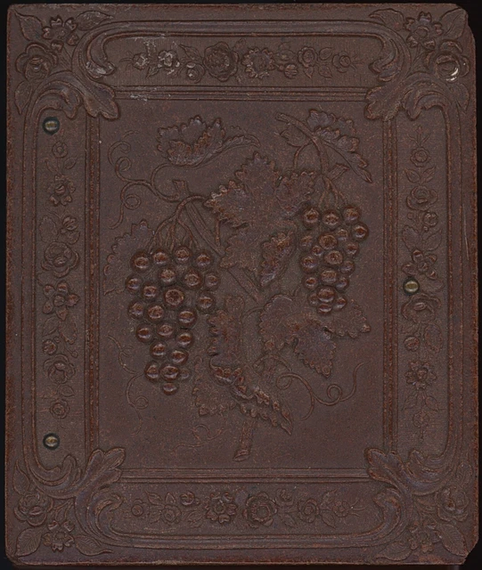 Grapes Double 1/9 Plate Thermoplastic Case Daguerreotype Ambrotype Tintype C571