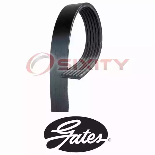 For Dodge Durango GATES MICRO-V Serpentine Belt 4.7L V8 2000-2003 pq