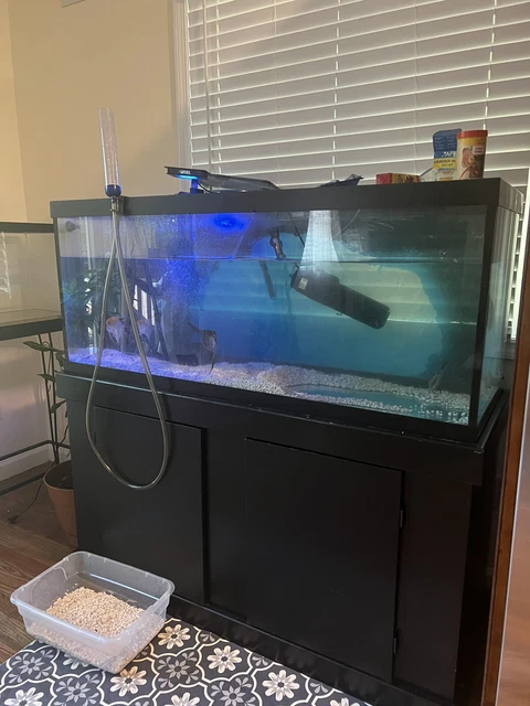 75 Gallon Aquarium fish tank with Stand Base and LED light