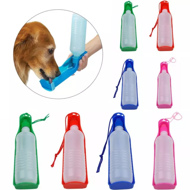 petit chat bac distributeur d'eau chien de bouteille d'eau la coupe de voyage
