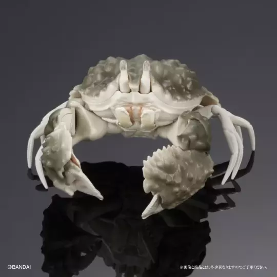 Reef box crab PVC Action Figure model with 28 joints