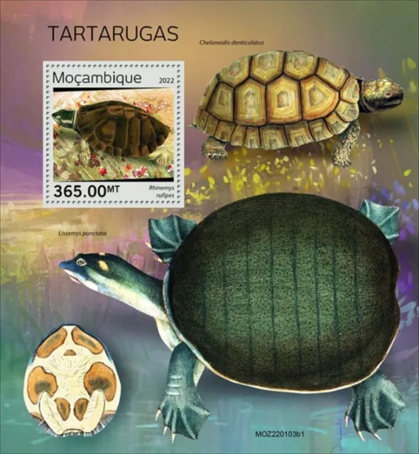 Mosambik - 2022 Rot Side-Necked Turtle - Briefmarke Souvenir Blatt - MOZ220103b1