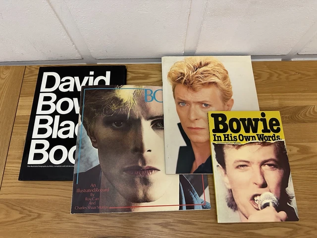 DAVID BOWIE BOOK Bundle Ziggy Stardust 1970s Pop Music - Incl ...