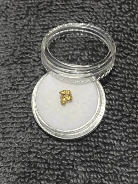 Unusual Shape 0.47g ALASKAN Raw Gold Nugget.. 20/22c