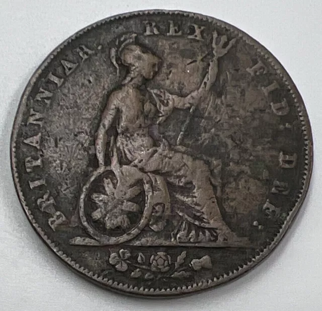 1826 George IV Half-Penny | British Copper Coin | Collectable Grade | e1432 2