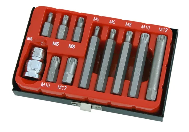 11pc Spline Bit Set 1/2" Socket M5 M6 M8 M10 M12 & Handy Metal Case