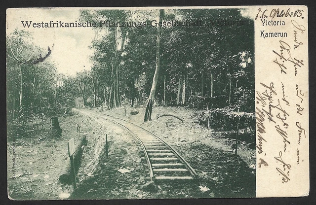 Kamerun Bahn AK: Im Bau befindliche Bahnstrecke im Busch °  Buea 7.10.05