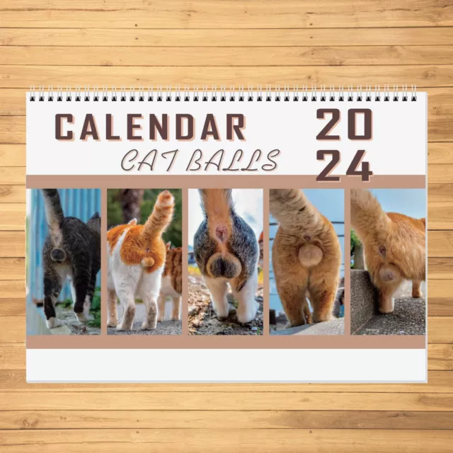 CAT BUTTHOLES 2024 Calendar Wall Hanging Calendar Gift Present for