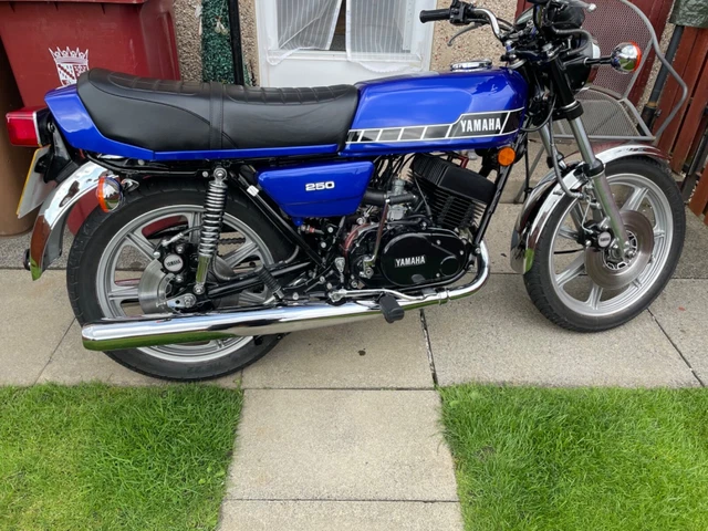 Rd250d store