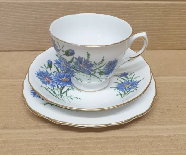 Vintage Royal Vale Bone China Tea Cup Saucer  & Plate -  Trio Set ~ Cornflower