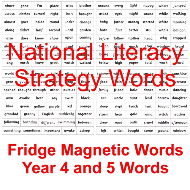 Magnetic National Literacy Strategy Words Years 4 & 5