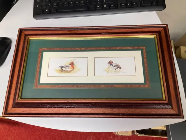 Vintage print of 2 specialised duck species by artist Joel Kirk large frame 20”