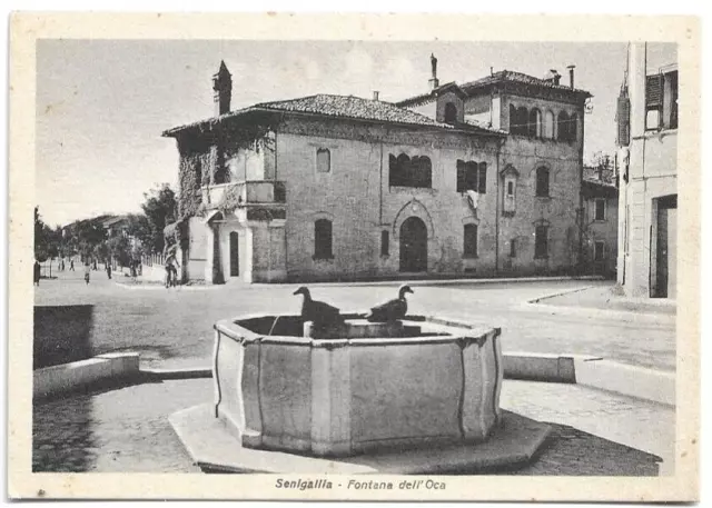 CARTOLINA DI ANCONA ,SENIGALLIA - FONTANA DELL'OCA - Ed. G. DIAMANTINI