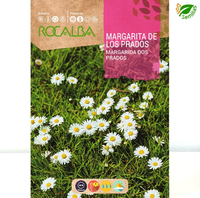 Margarita de los Prados ( Bellis perennis ) 0,5 g / 2.500 semillas seeds flores