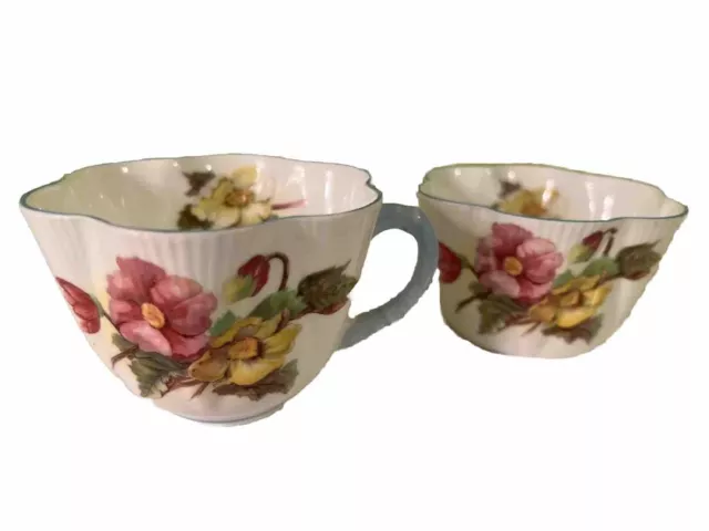 Shelley Bone China Dainty BEGONIA Teacup and Open Sugar Set, England Porcelain