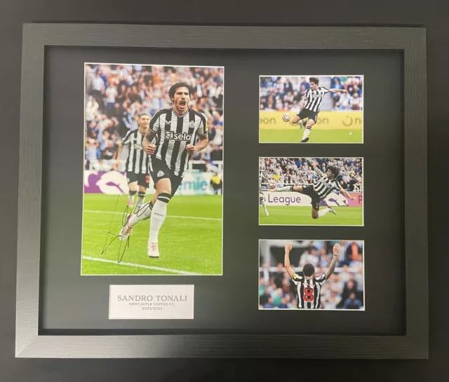 Hand Signed Sandro Tonali Framed Display Newcastle United Football Club With Coa