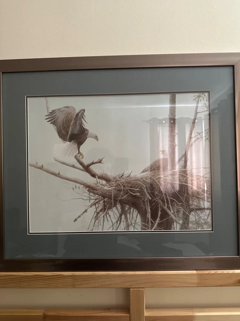 Robert Bateman “The Return - Bald Eagles Pair” Canvas Framed Art