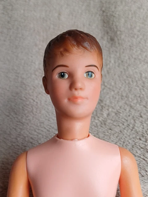 VINTAGE PEDIGREE PAUL Doll Sindy Boyfriend 1960S Excellent 24 99 