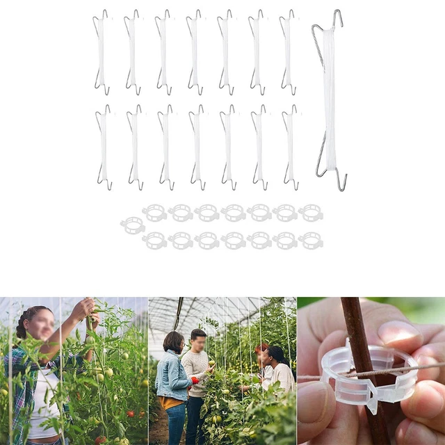 Portaplantas de tomate clips de tomate uvas 30 piezas hierro nuevo nailon blanco