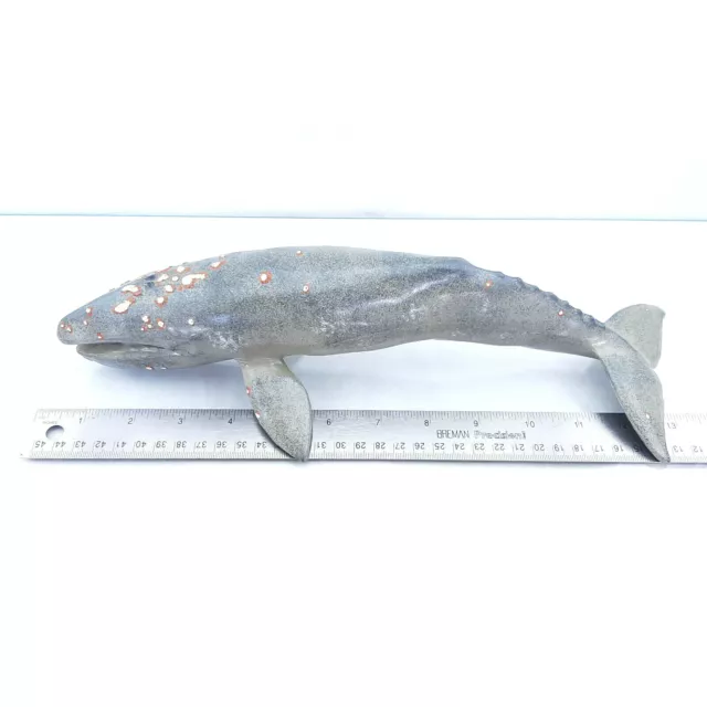 GRAY WHALE Marine Animal 13" Heavy Aquarium Figure Safari Ltd Monterey Bay 1991