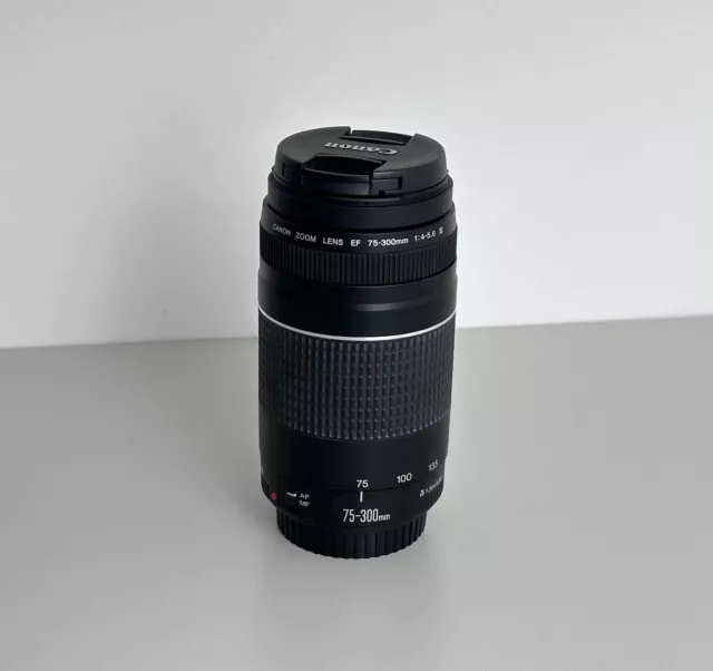 Canon EF 75-300mm f/4.0-5.6 III Objektiv