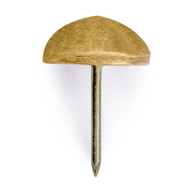 Hardware Philosophy Brass Studs (Tacks, Nails, Pins) with 0.8" Heads, Set of 2