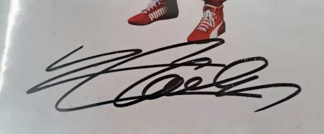 Charle Leclerc Ferrari signature firma decal  vinyl adesivi autocollants ステッ