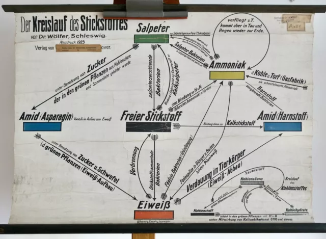 Vintage | Schulwandkarte Kreislauf Des Stickstoffs | School Chart Star