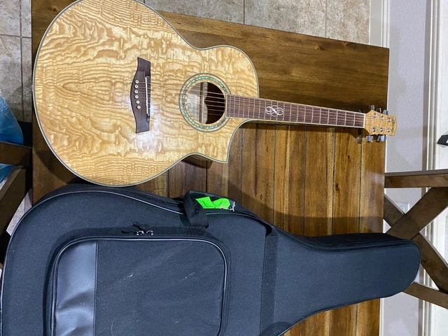 Ibanez EW20ASENT1202 Acoustic/Electric Guitar exotic wood series 