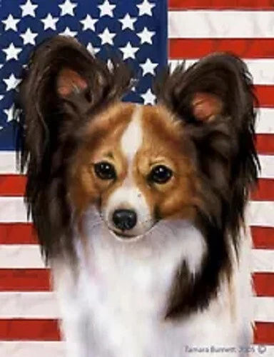 Patriotic (D2) House Flag - Light Tri Papillon